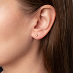Ohrstecker Points Crystal Quarz - Fleurs des Prés Jewelry