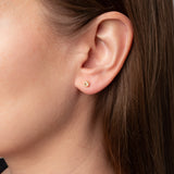 Ohrstecker Points Crystal Quarz - Fleurs des Prés Jewelry