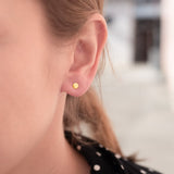 Ohrstecker Charlotte Plain Gold - Fleurs des Prés